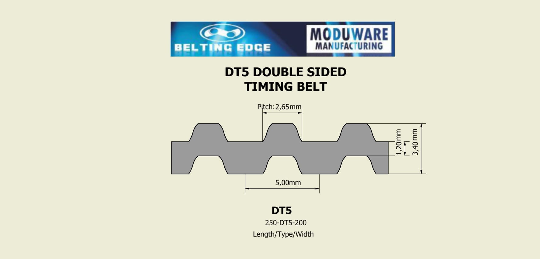 DT5-Timing-Belt-3D-TD DT5-Timing-Belt-3D-Technical-Drawing